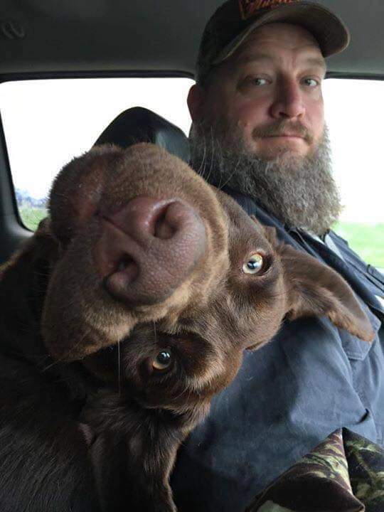 Beer Whisperer PhD MAGA/KAG 2020 tweet media