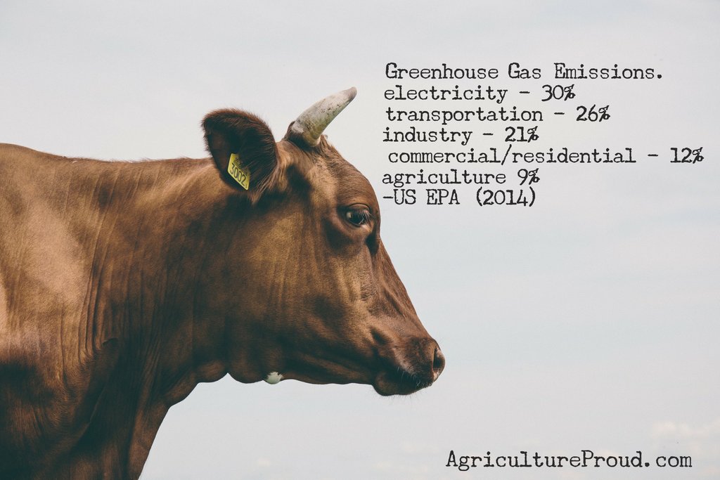 How much environmental impact does meat consumption really have on our planet? Much less than transportation, fast fashion, and food waste all things the #GoldenGlobes contributed to in huge ways with their broadcast last night. More from <a href="/beefrunner/">Cows and Trails</a> here: buff.ly/2ZUzYTv