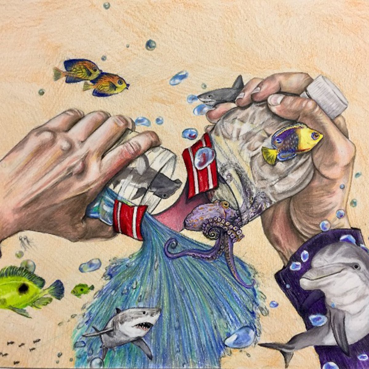 A drawing of two hands pouring water out of a broken plastic water bottle, with various marine animals around it.