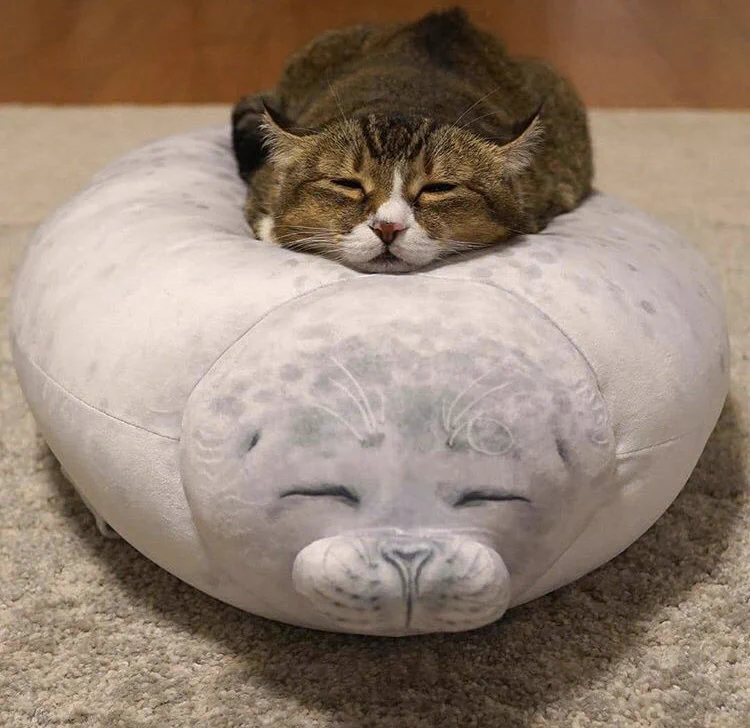 猫とアザラシのぬいぐるみが、完  全  に  一  致wwww