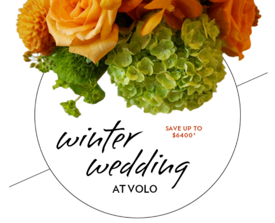 Chicago Style Weddings - The Celebration Society tweet media