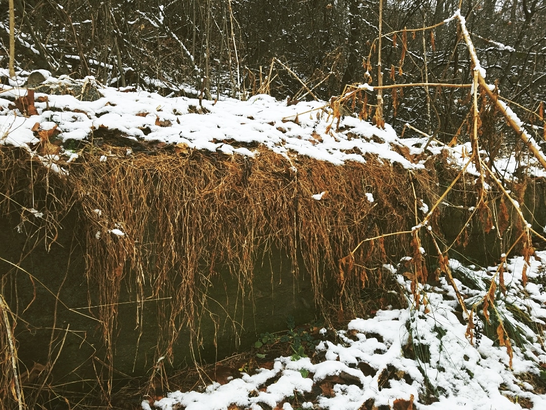 theRollingimage's tweet image. #SnowWall #StoneFall .. 

 1/6 ❄