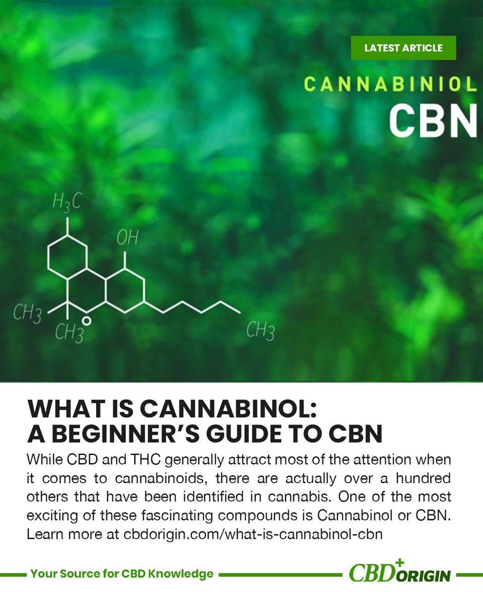 When Tetrahydrocannabinol (#THC) ages, its molecular structure is transformed due to oxidation, and its new form is classified as #Cannabinol (#CBN). Learn more at cbdorigin.com/what-is-cannab… 👈👈👈