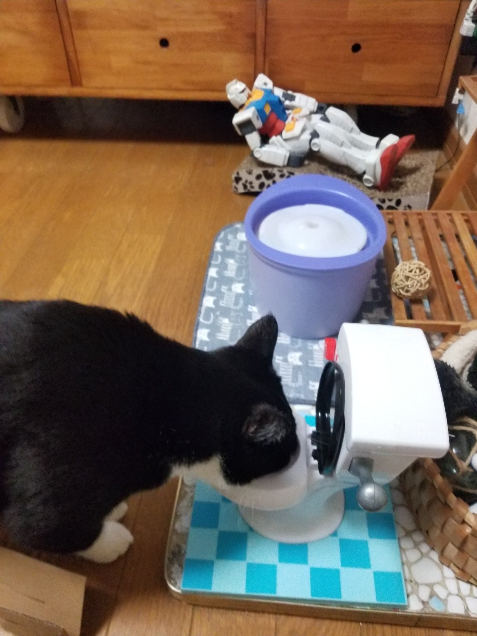 オペラ 自分自身 ブランド 猫 の おもちゃ ルーレット Angelical Web Jp