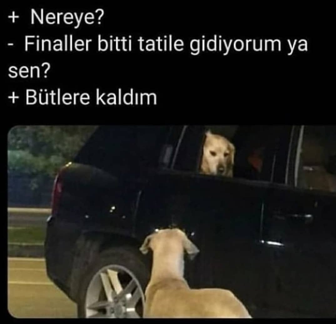 0ss_man's tweet photo. @isen_ozkan Ben kaldım kardeş https://t.co/f7PPWtR869