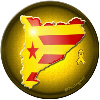 El Oso Ingeni tweet media