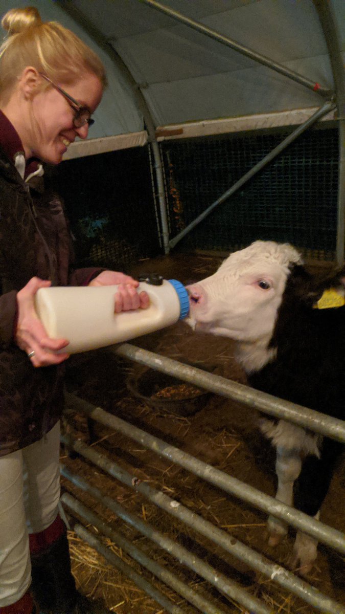 CarolineSPhoto's tweet photo. First Small Farming session done @MerristWood I'm totally in love already. It's gone be a good few months. #smallscalefarming #smallholding #merristwood #merristwoodcollege #guildford #surrey @AdamHenson @CountryfileMag @BBCCountryfile #learningtobeafarmer #farming #farmingcourse https://t.co/vsxo1OxLtS