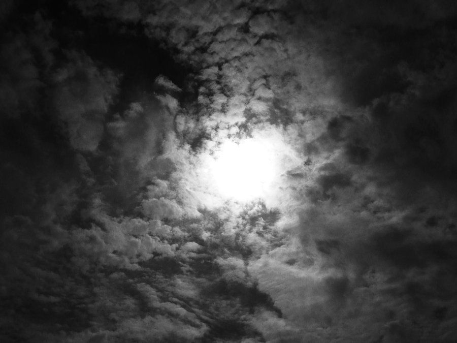 Return Of Kings tweet media