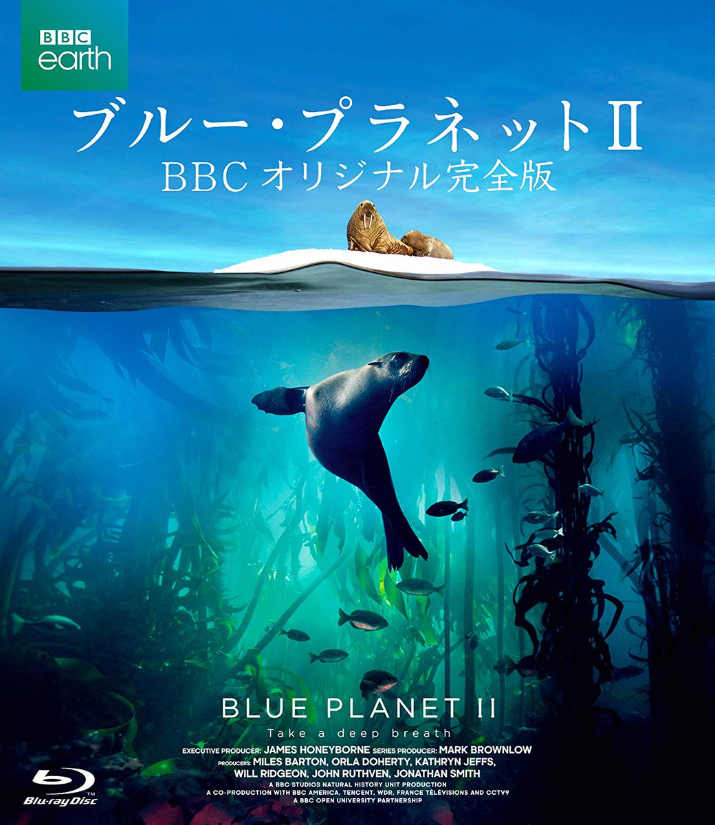 bbcearth japan (@bbcearthjapan) / Posts / X
