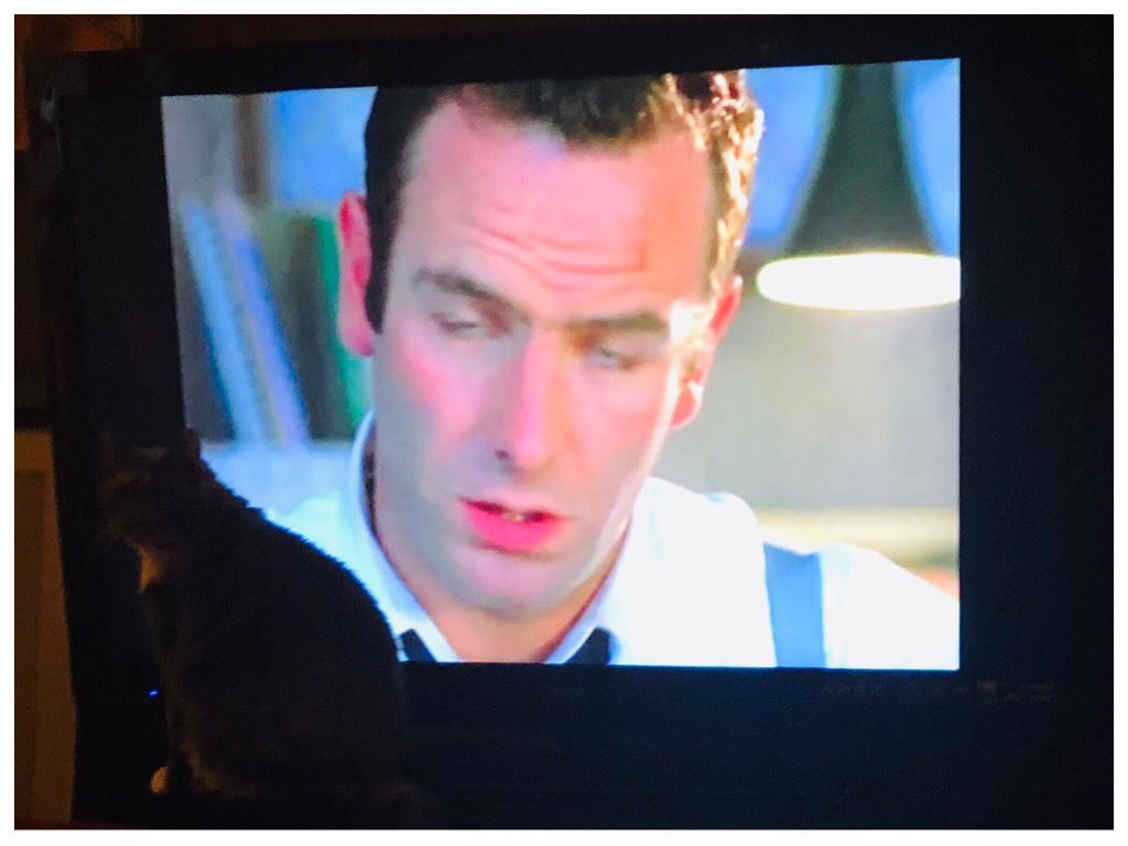 Another episode of #BoogieCatonTV - this time, it’s a British thriller, starring the beautiful Robson Green, circa 1997. She likes him, too. #RobsonGreen #TouchingEvil #BritishMysteries #1997 #DeltaLee #BoogieCat #6DegreesoftheBoogieCat