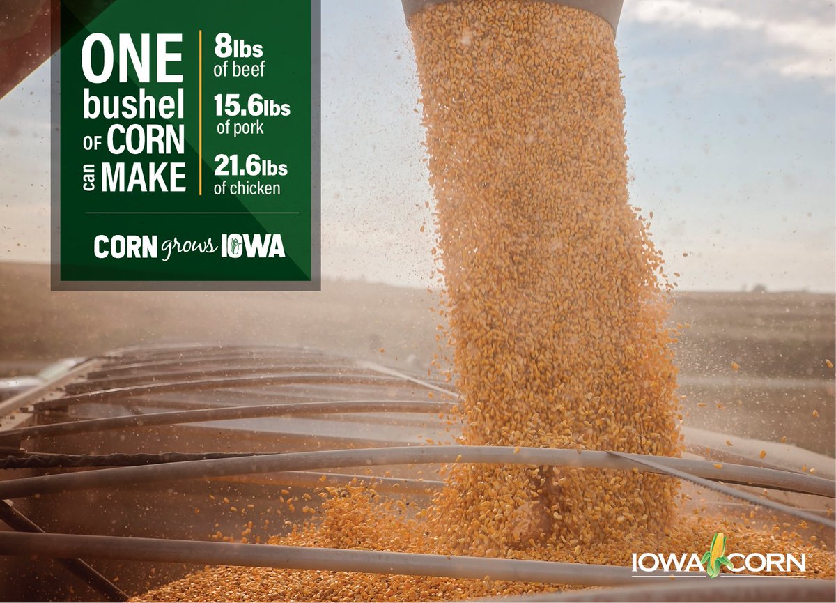 iowa_corn's tweet photo. One bushel of corn has a lot of potential! Check out all the things this powerful crop can create. #CornGrowsIA https://t.co/iIlMPlzPE1