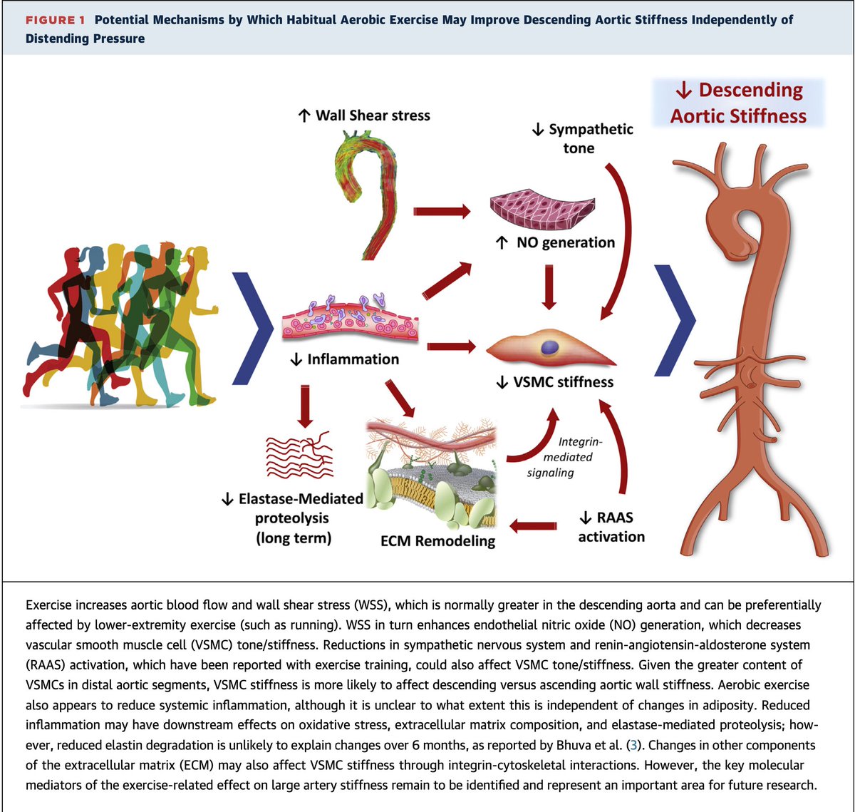 Eric Topol tweet media