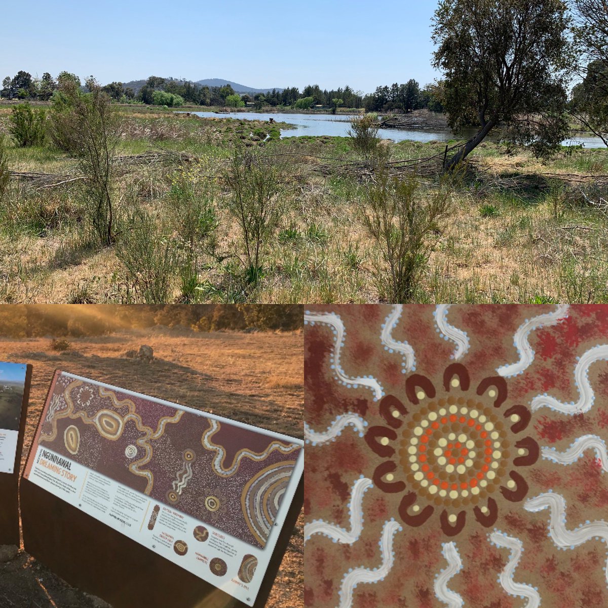mrngunnawal's tweet photo. Yhuun yheedun buural my followers. Have a beautiful journey today. Today I’m just going to post a pic that reminds me of the beauty of Mother Earth. We often forget the beauty of her because of the power and strength. Remember to treat her beautiful Spirit like you do to yours 👣 https://t.co/2h56vz71u3