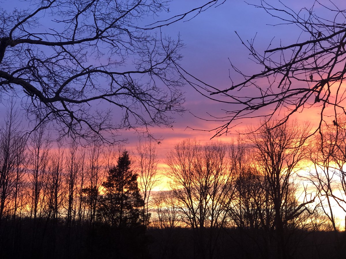 AlyssaLynnMusic's tweet photo. Beautiful Tennessee sunset!! What’s your favorite sunset or sunrise? #tnsunset #nature #myfave https://t.co/J1ZUIm5bpN