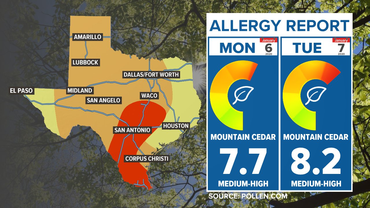 Mountain Cedar Allergy Map Alan Holt On Twitter: "If You've Been Dealing With Allergies, It's Likely Mountain  Cedar. The Pollen Makes Its Way South From The Texas Hill Country As Cold  Fronts Pass Through, Bringing North