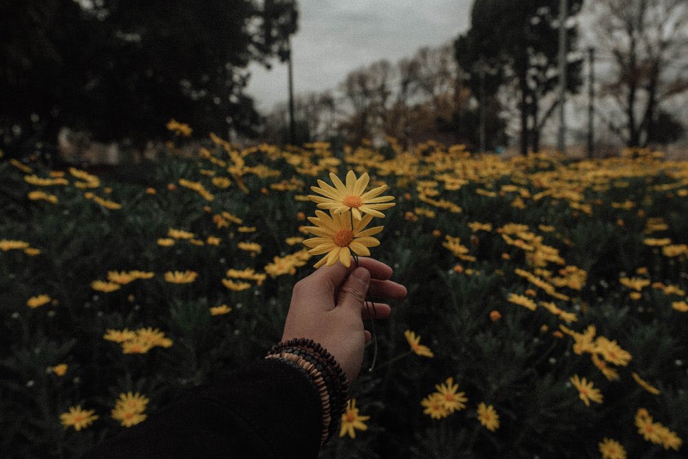 QueenzCaption's tweet photo. Quotes &amp; Captions💛(Part One) https://t.co/0KG0Q8XzrR