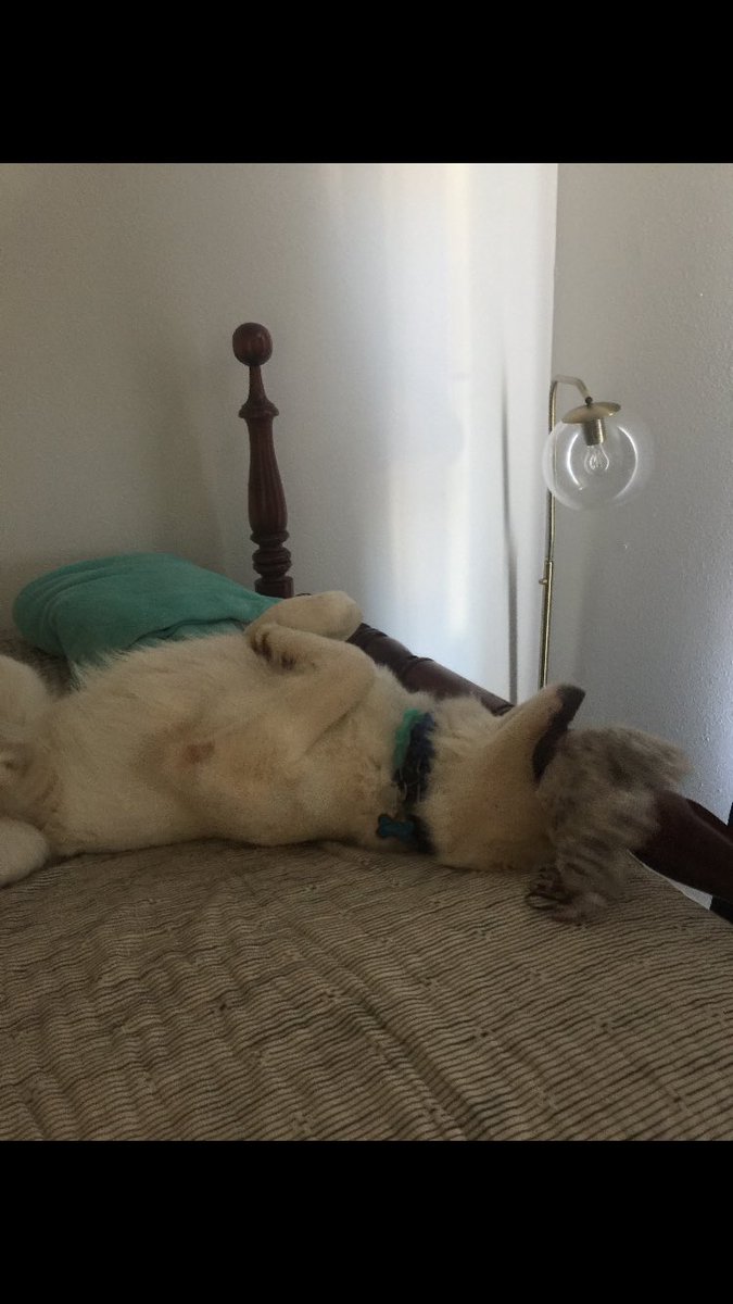 SaintSchrute's tweet photo. It’s 2020 and Mondays still suck... #MondayVibes https://t.co/TLuSV4AHDL