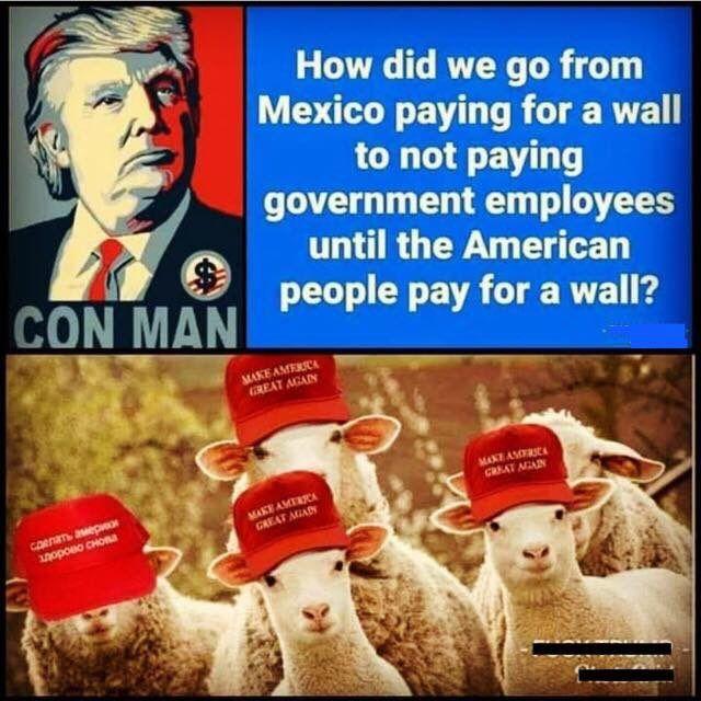 ScrewTrump7's tweet photo. @Villainous112 @TeamTrump hows that wall thing going that even the republicans won't even fund? https://t.co/0gRRFMgPSR