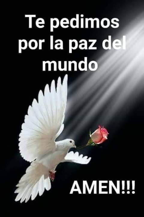 Guerrera del amor (@sofia27500388) on Twitter photo 