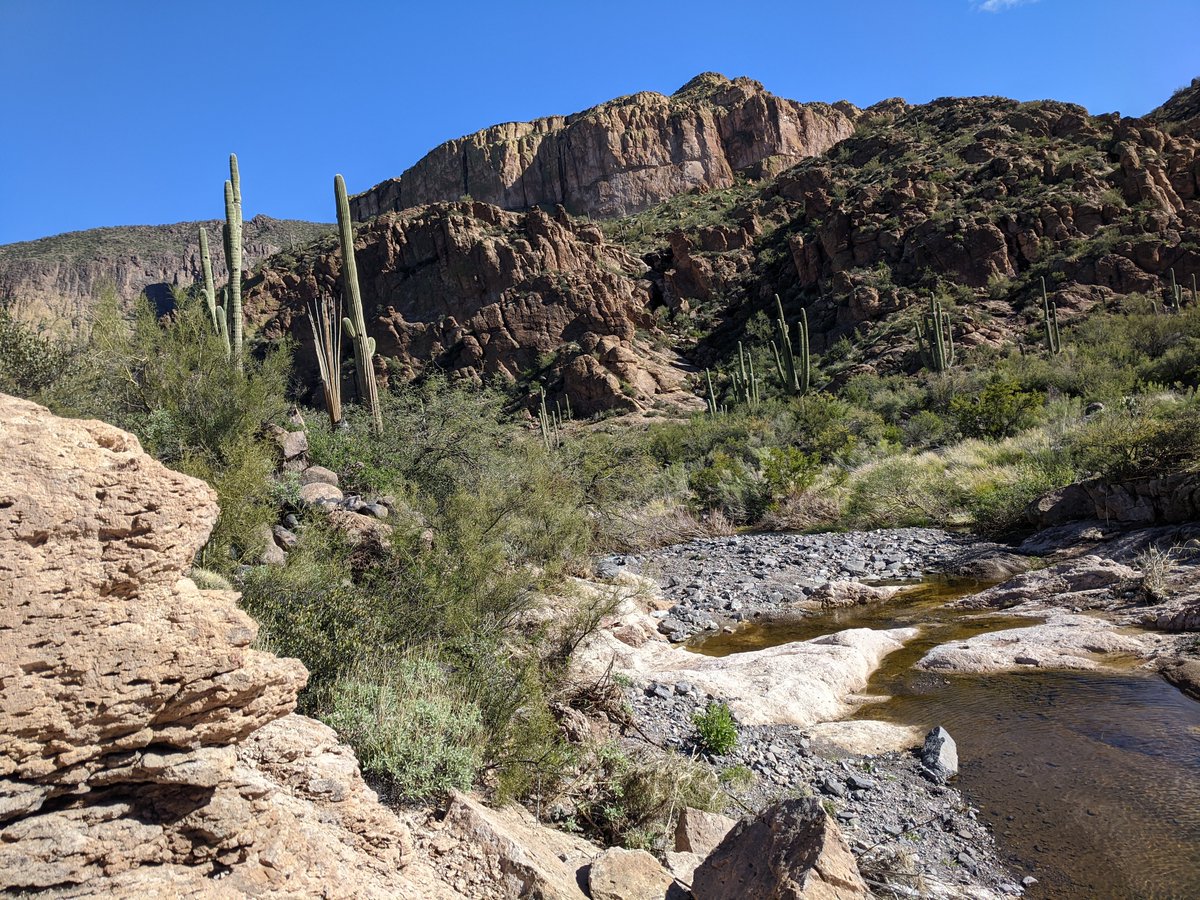 rareperkins's tweet photo. Sometimes you just have to turn off the internet for a week and go camping in the desert. 

Happy belated new year everyone! 2020 is going to be awesome. 🎉♥️🚀 https://t.co/4sN9HiPKu0
