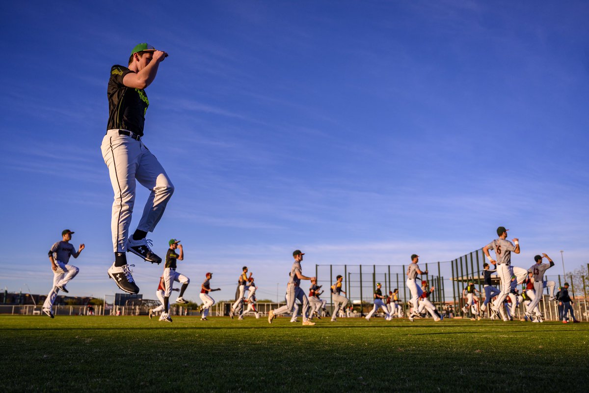 Baseball Factory tweet media