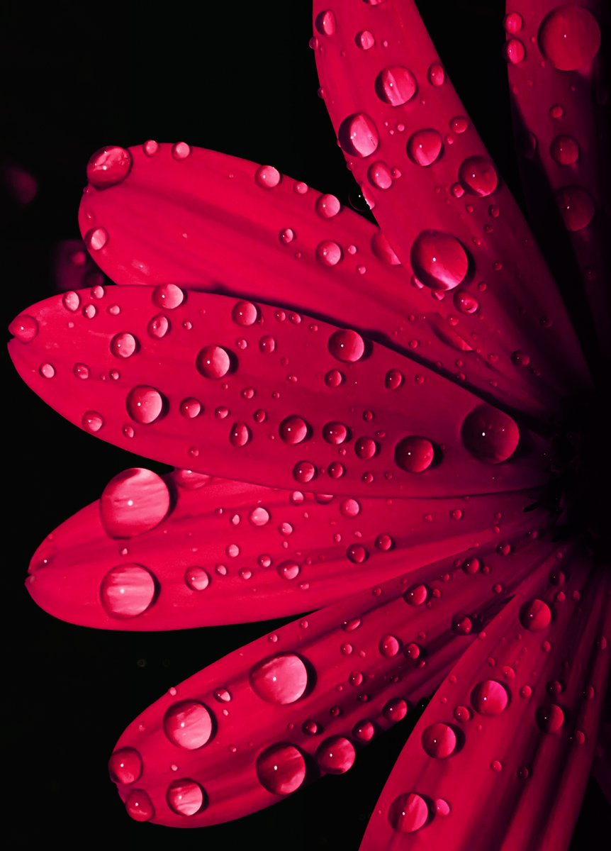 HD Wallpapers on Twitter: HD Wallpapers on Twitter: