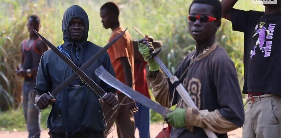 archillect's tweet image. 