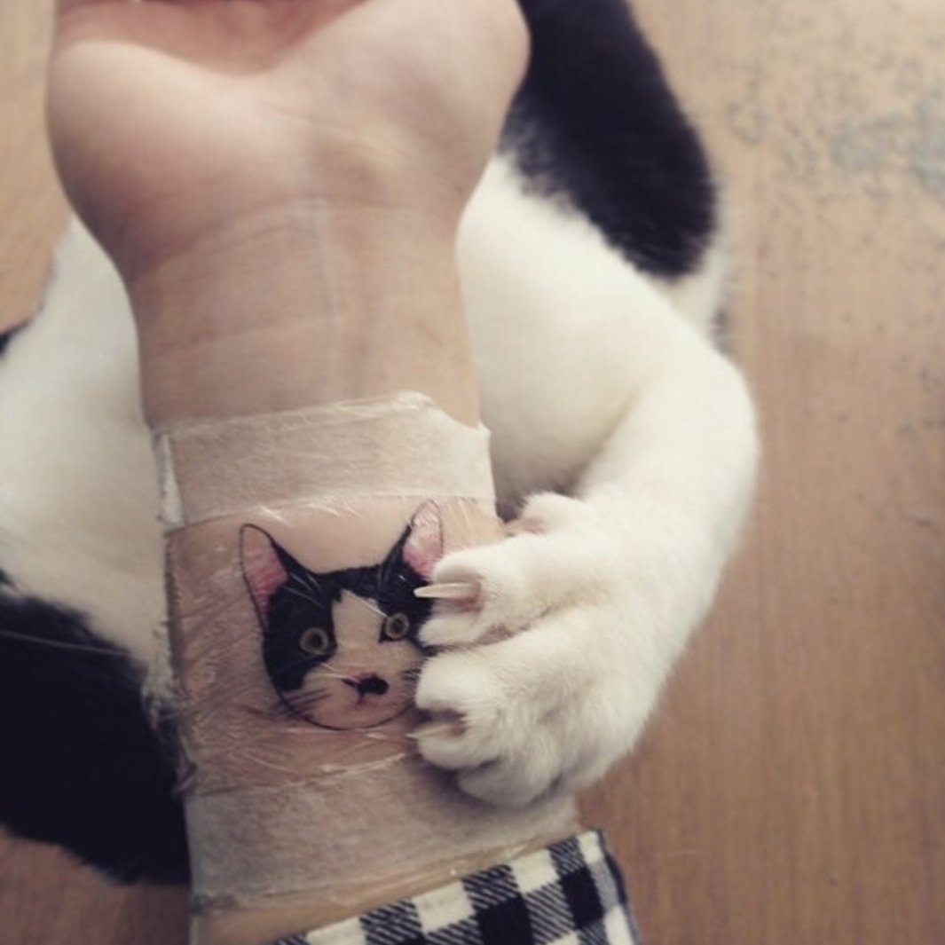 leoolvp's tweet photo. A ver tu tatuaje, humano / Ay!!! Te tatuaste mi carita 😱💕😭 @gatitos_qctd https://t.co/jf3YBjnUFc