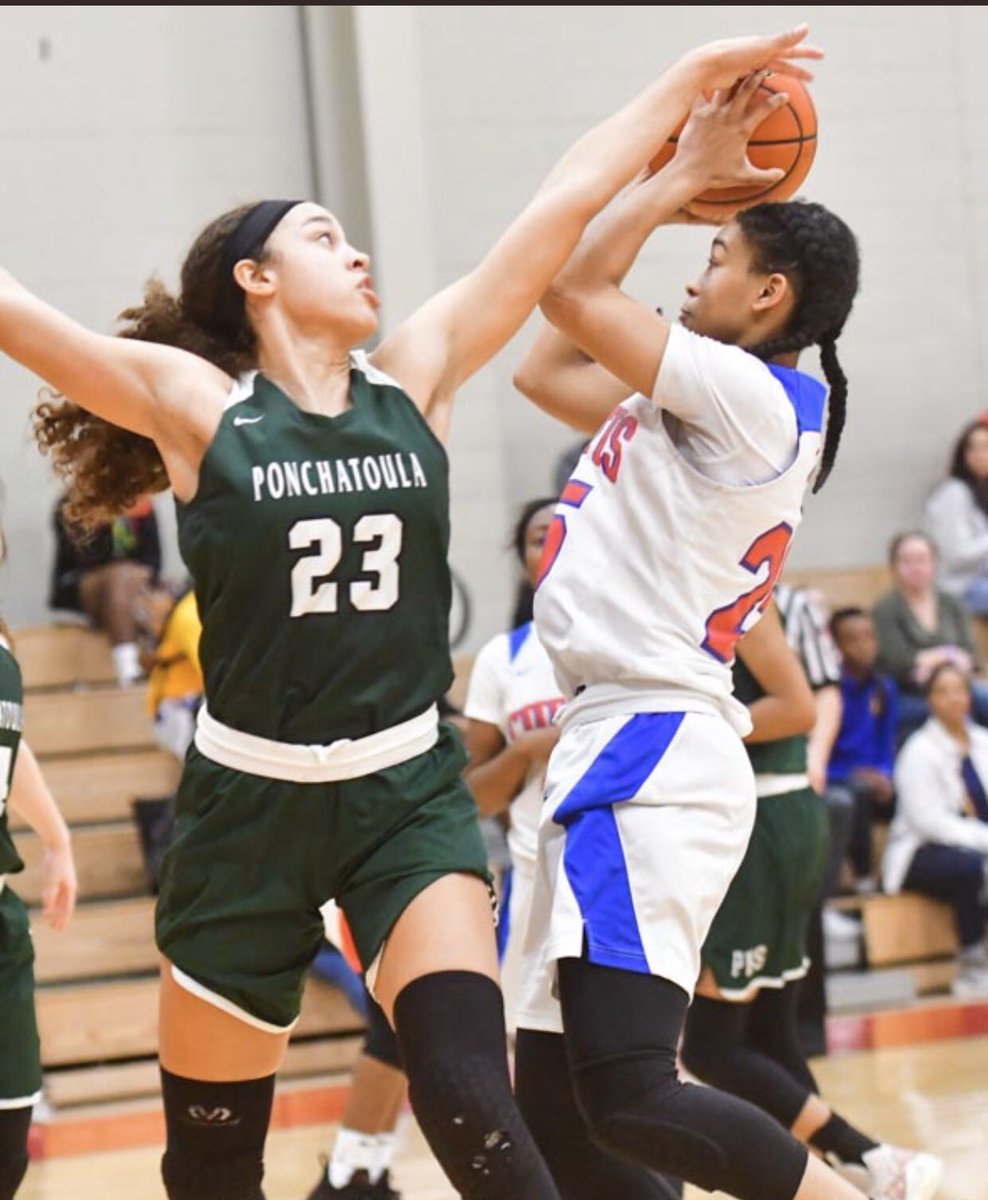 PHS Lady Wave Basketball tweet media