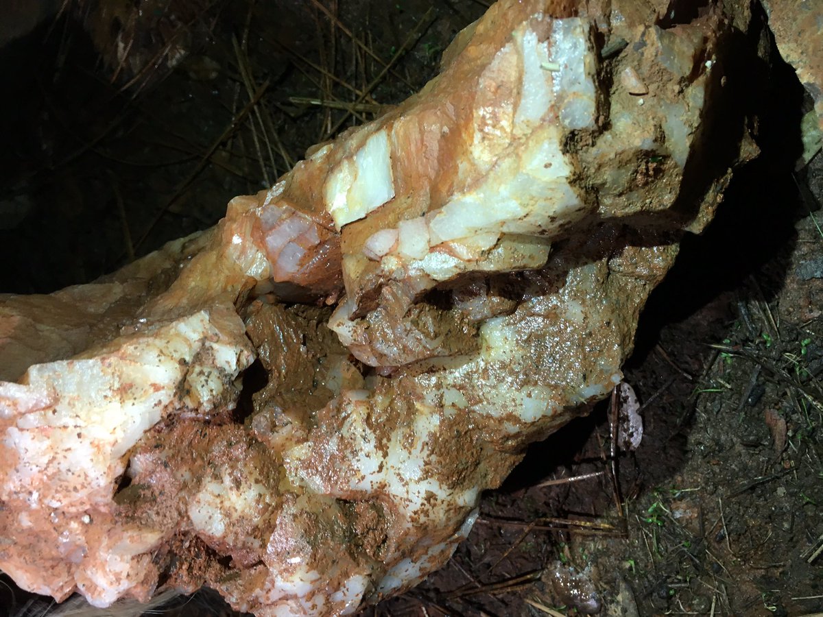 RealEyeTheSpy's tweet image. My friends just brought home a HAUL! #Blessings #FromTheEarth