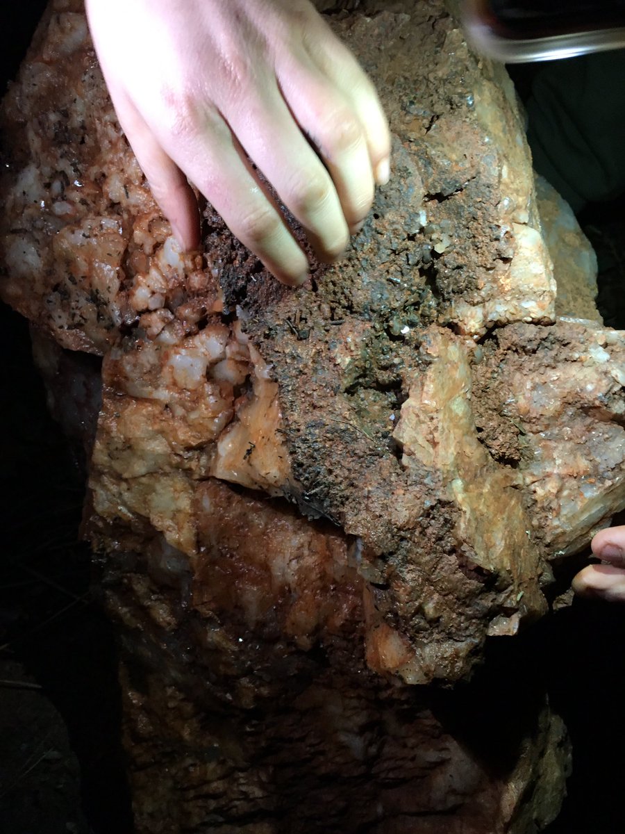 RealEyeTheSpy's tweet image. My friends just brought home a HAUL! #Blessings #FromTheEarth