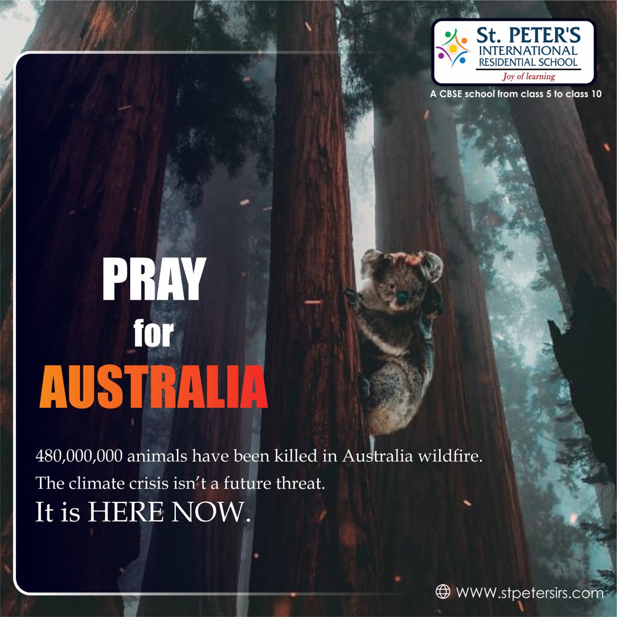 PRAY FOR AUSTRALIA 🇦🇺
#PrayForAustralia.

#stpetersirs #kompally #hyderabad #bestboardingschool #bestschoolinhyderabad #Stpetersinternationalschool #spirs