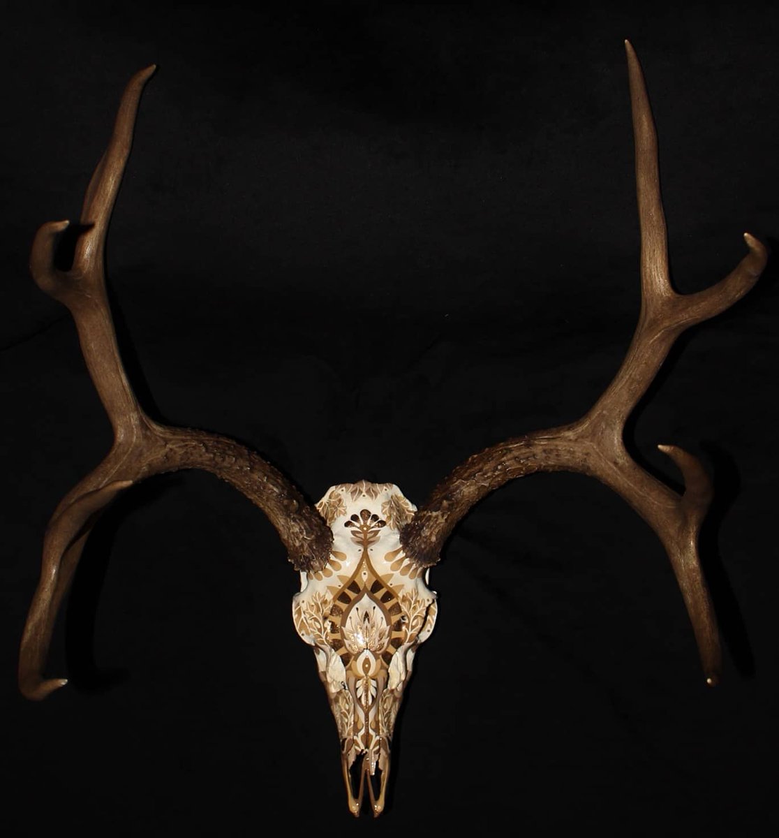 LizElequin's tweet photo. Handpainted Deer Skull by Elizabeth Elequin. Have your own trophy skull - turn it into art!  https://t.co/zEqh5kRjaL https://t.co/YH5PBfw8qJ