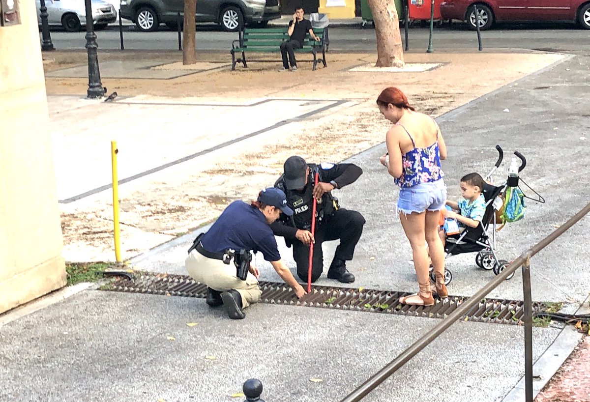 grantly mailes tweet media