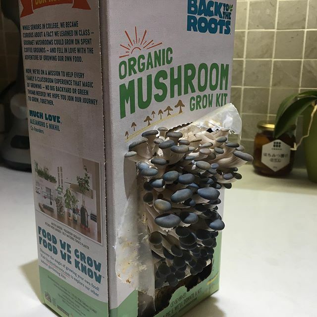 Katie White tweet media