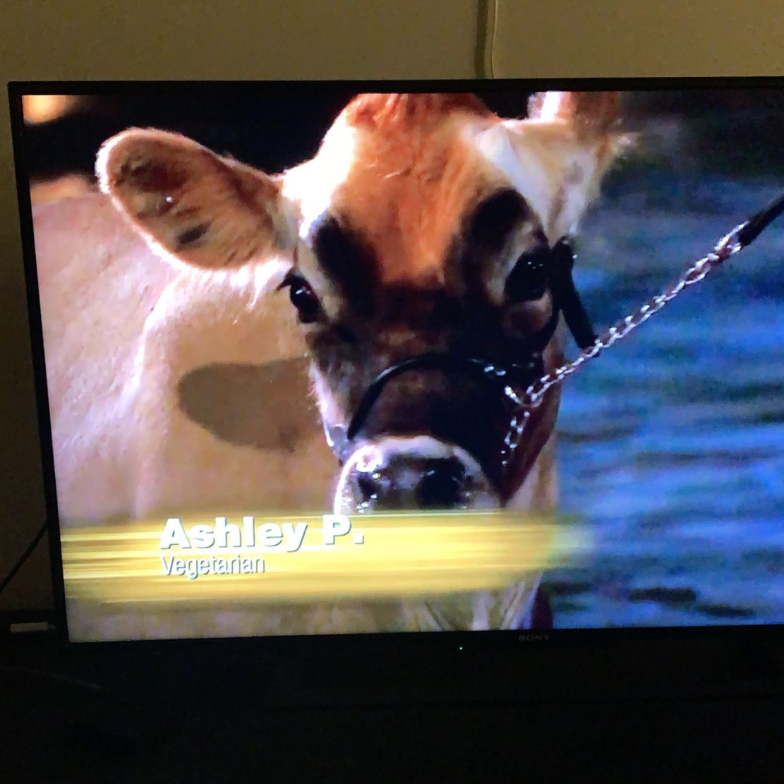 jdemoulin22's tweet photo. Ashley P isn’t the contestant we want she’s the contestant we need. #bachelor https://t.co/3fLef9B84n