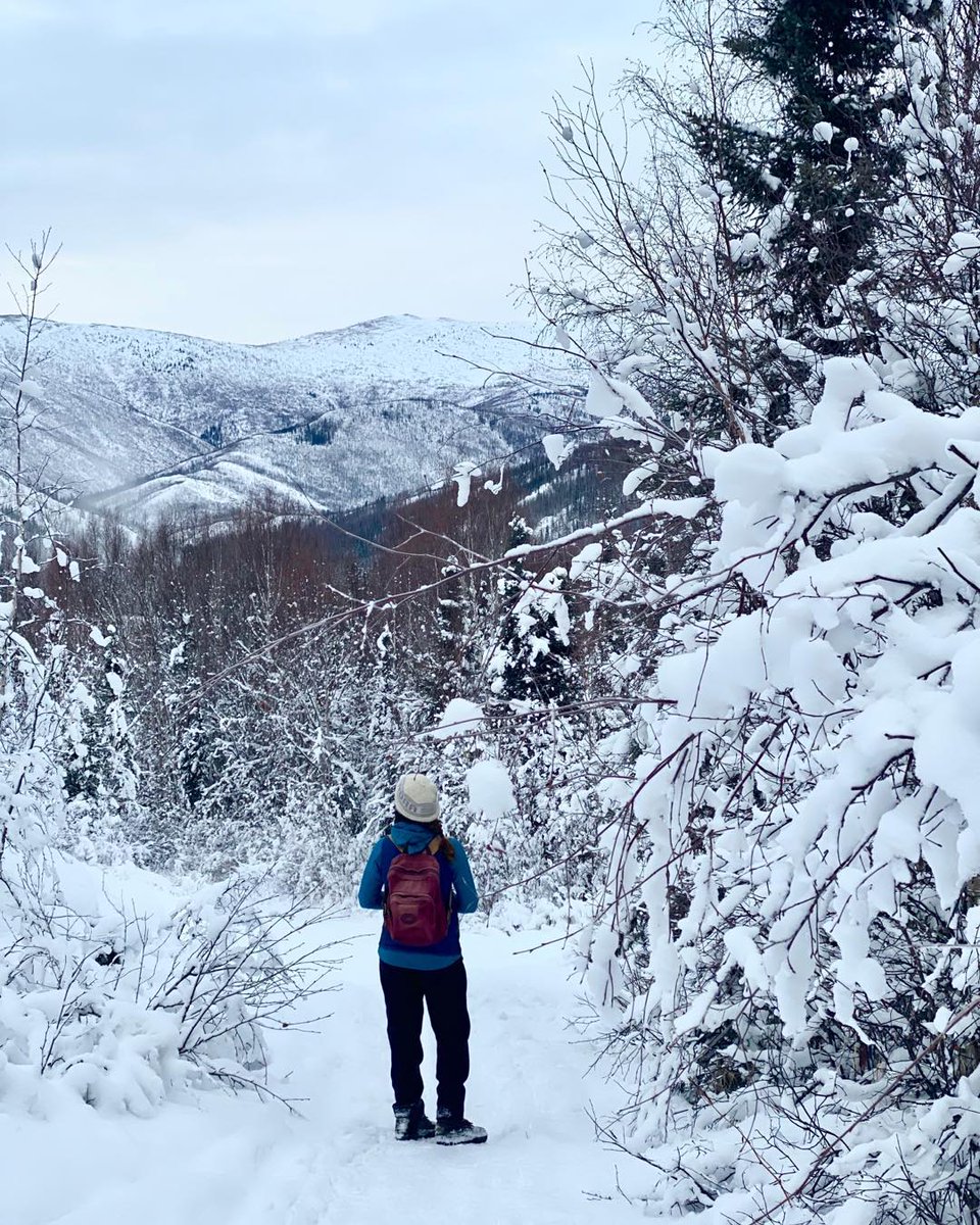 Our winter wonderland trails  💙
#climbthemountain #alaska #fairbanks #50x35 #dametraveler #darlingescapes #wearetravelgirls #mytinyatlas #sheisnotlost #ladiesgoneglobal #traveldeeper #travelgirlsgo #girlsdreamtravel #globelletravels 
Reposting @beyondyellowbrickblog