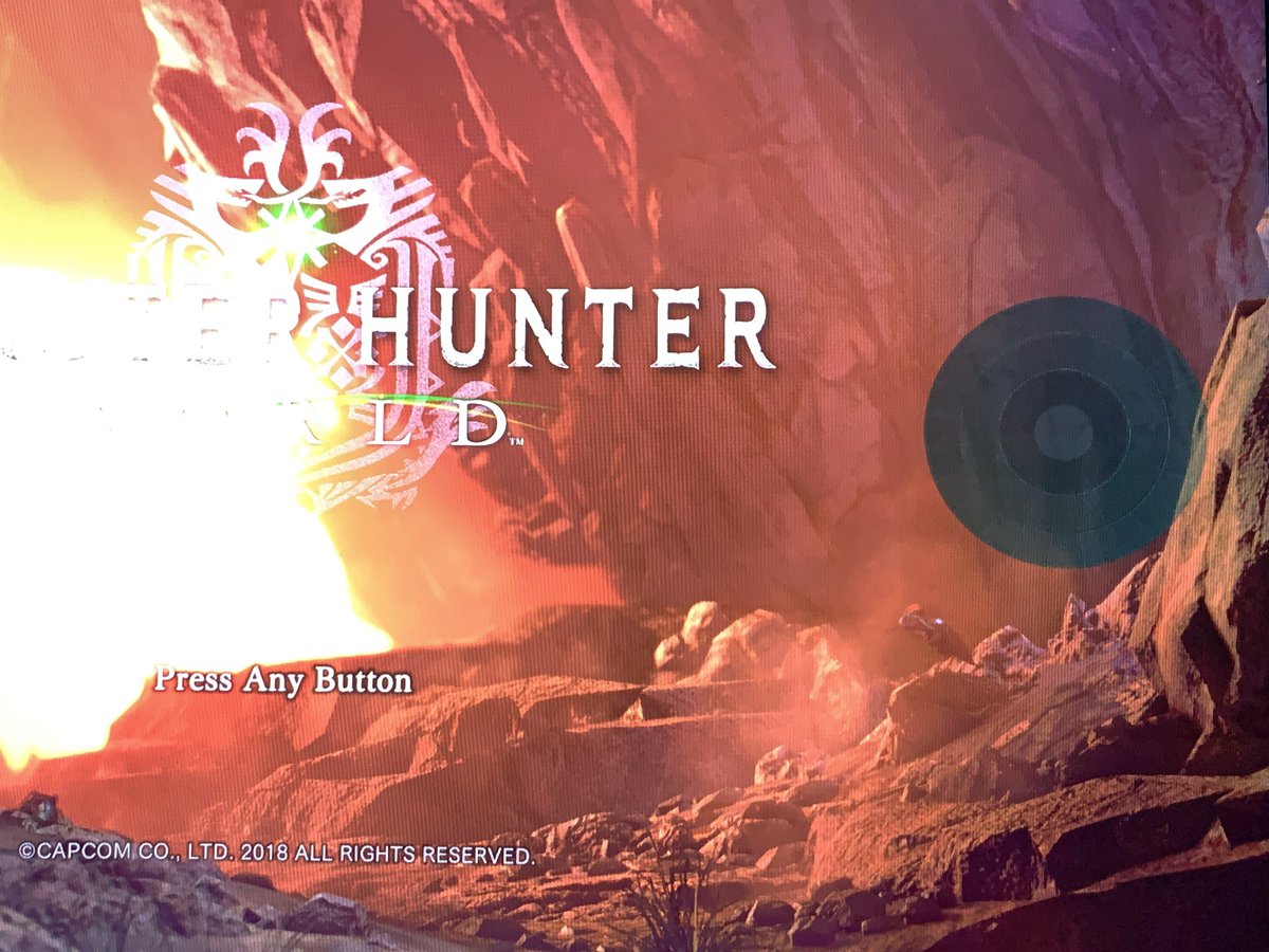 sitto_h's tweet photo. @monsterhunter i Got this problem do you know how to fix it https://t.co/k9HpzCY40m
