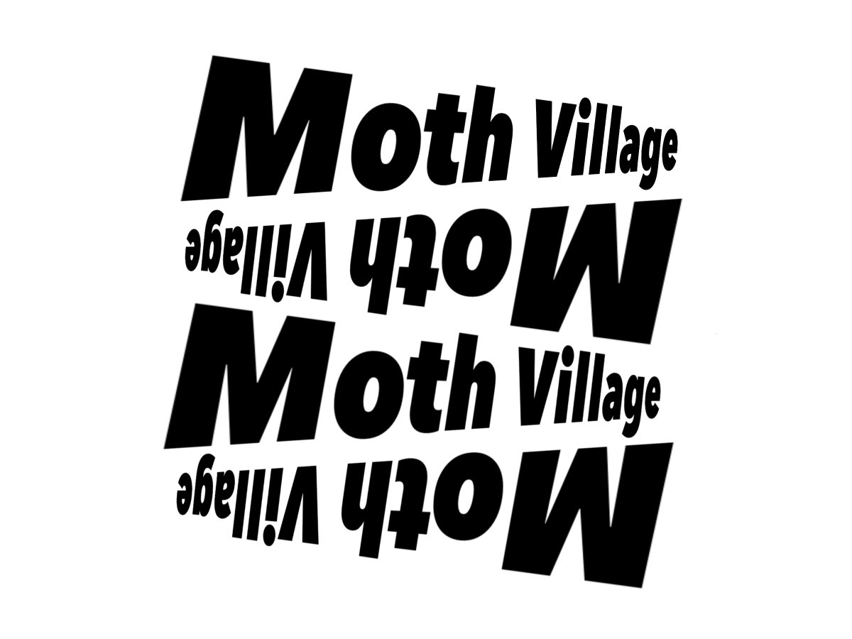MOTHVILLAGE tweet media