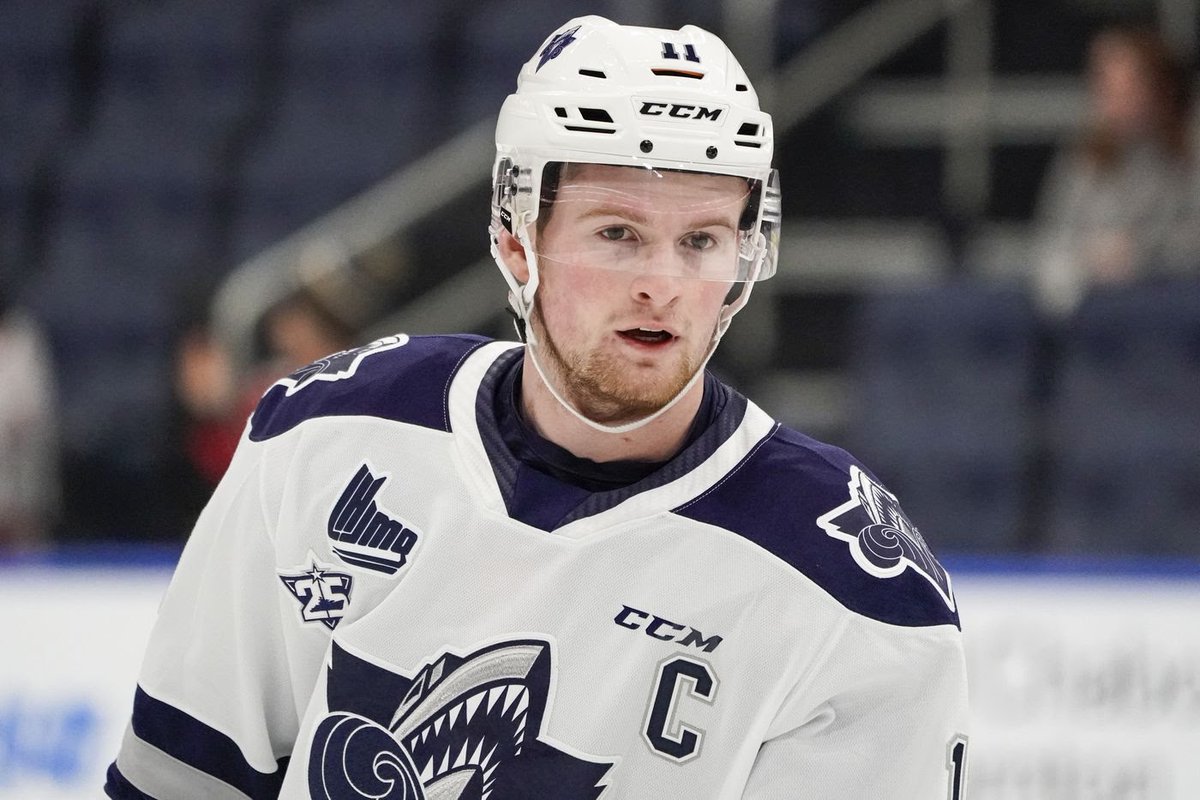 JeremieFilliol's tweet image. 