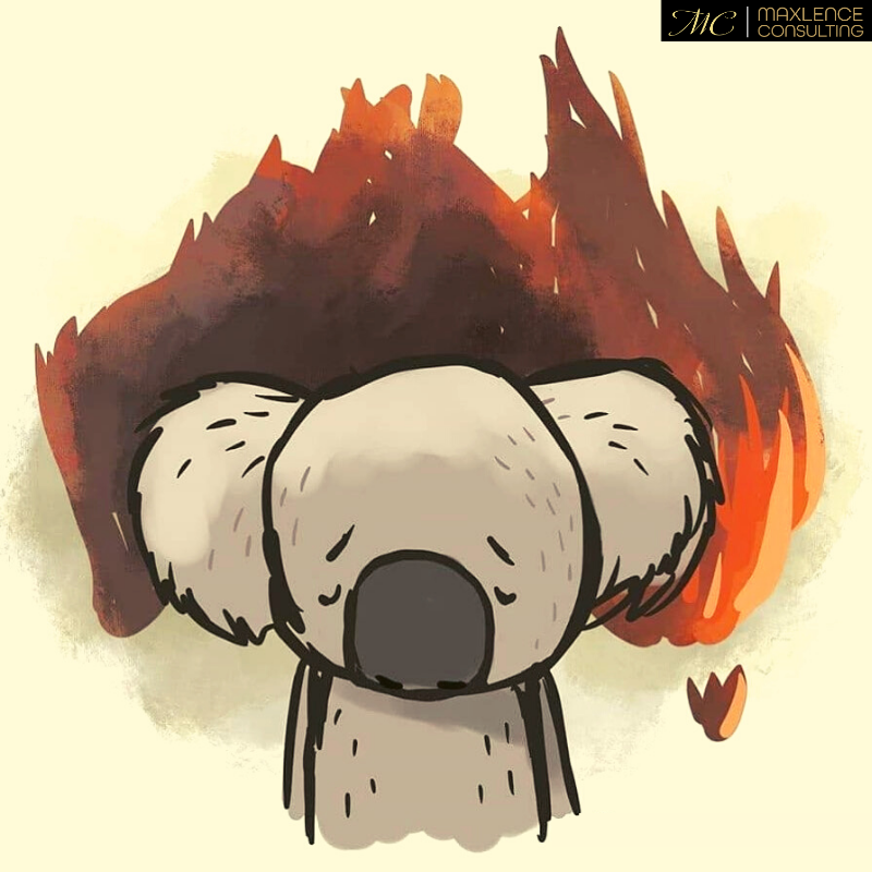connectmaxlence's tweet photo. 5 million hectares of land on fire 🔥🔥
Over 8,000 Koalas lost lives 😔
480 million birds, animals and reptiles are no more!
We wish it stops here, Maxlence prays for the safety of every living being. 🙏
#bushfireaustralia #PrayForAustralia https://t.co/vcFiVF0fhb