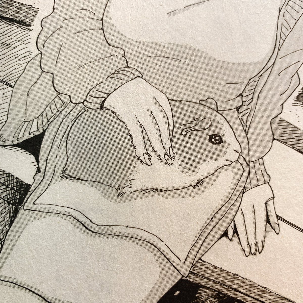 子年ということで 彼女と彼氏の明るい未来で描いたモルモットです 今年もよろしく 谷口 菜津子の漫画 子年ということで 彼女と彼氏の明るい未来で描いたモルモットです 今年もよろしく 谷口 菜津子の漫画