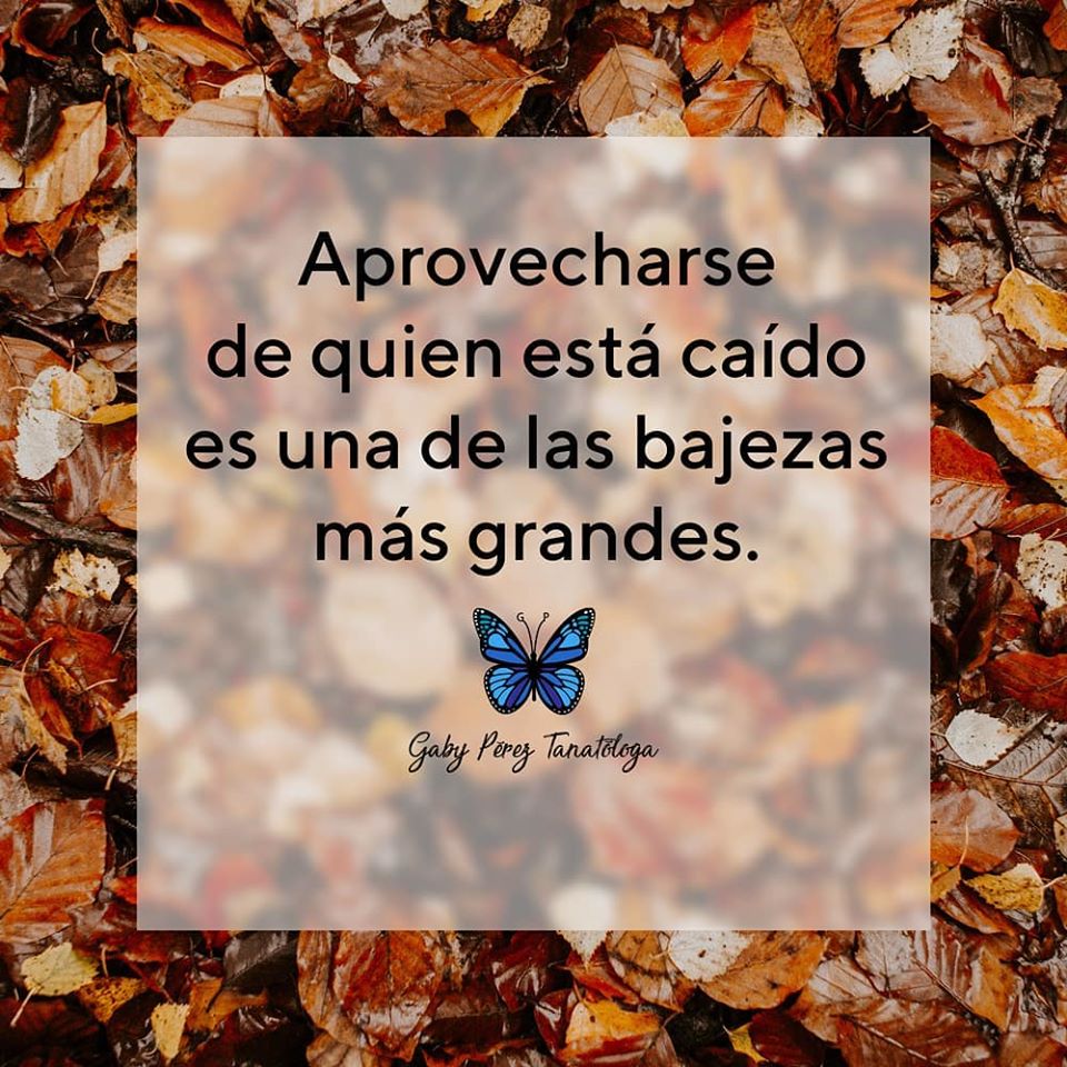 Princessita2017's tweet photo. Totalmente De Acuerdo! https://t.co/bzwxF3LwQx
