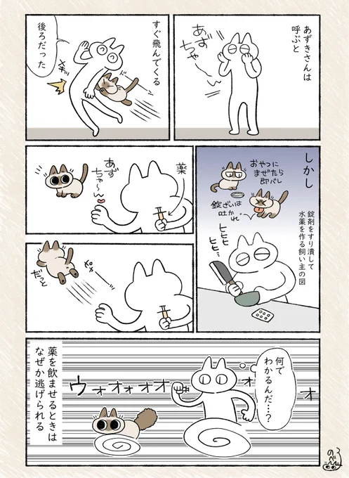 カンが鋭すぎるあずきさん #シャム猫あずきさんは世界の中心 