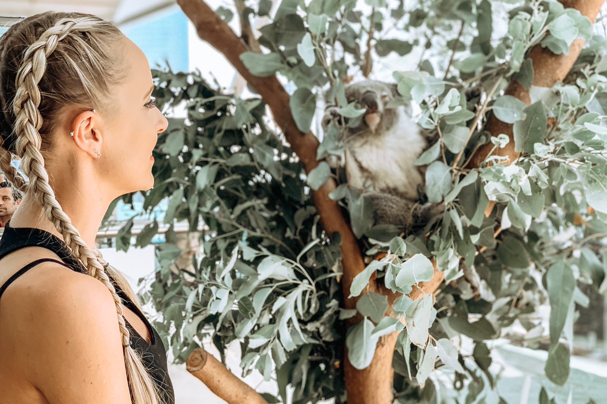 It saddens me to see what’s going on in <a href="/Australia/">Australia</a>   I couldn’t wait to go and was finally privileged enough to go a couple of months ago. As a teacher, I can’t donate much but I did donate to @WIRES_NSW and so many celebrities have come together to donate during this tragedy.