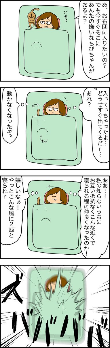 さみぃ時期は猫たちがくっ付いてくれるからめっちゃ幸せ。
それに伴いコレほぼ毎日起こってる。つらい。でも可愛い。つらい。 