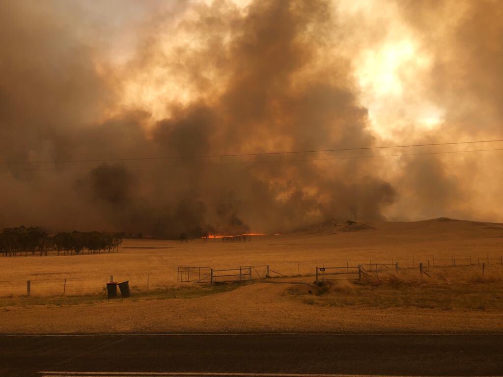 Social media is going mad on consistently blaming and pointing fingers. Instead of voicing my opinion and whinging, I went and helped put out the fire. If all the keyboard warriors and media did the same Australia would be a better place by now.