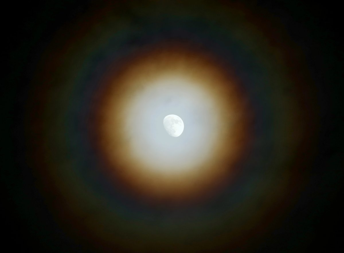 We had the most spectacular lunar halo tonight. 

(I usually post single exposures, but here the face of the Moon is from a separate shot — it was just too bright otherwise. This is much closer to how it looked.)