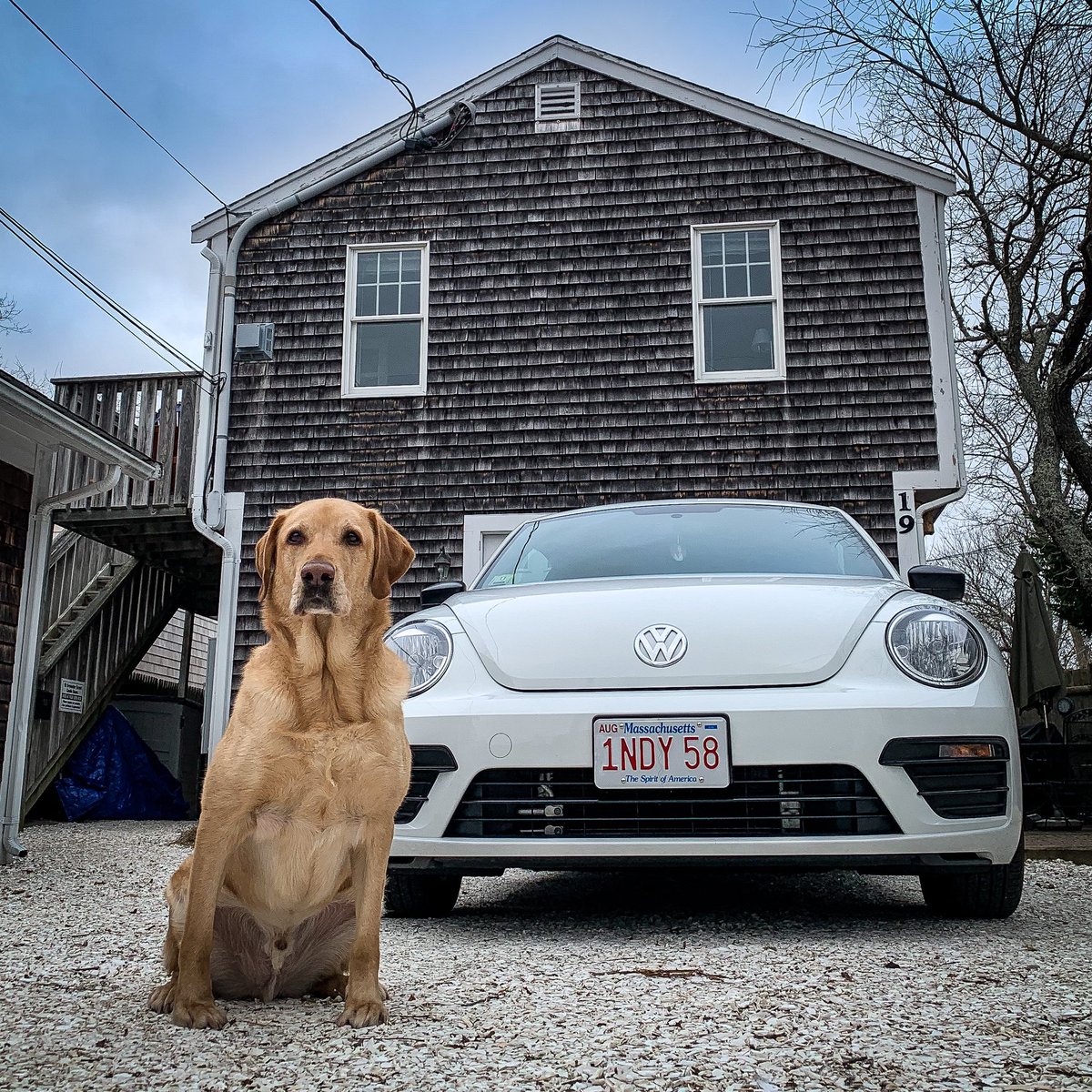GregSalvatori's tweet photo. Small home, small car, BIG DOG. Welcome to my life.
#dogphotography #weeklyfluff #bestwoof #dogoftheday #dogscorner #mydogiscutest #fluffypack #excellent_dogs #ruffpost #pupfluencer #doglove #pupoftheday #dailywoof #buzzfeeddogs #bringfido #dailybark #dogphoto #ilovemydog https://t.co/QuMjg9R1rR