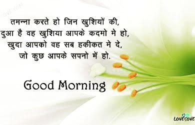 MeenaGeetRaj's tweet photo. #goodmorning https://t.co/3ZDCfzdUse